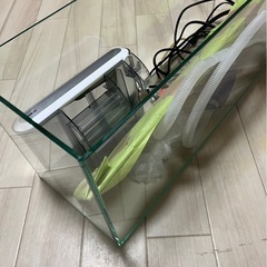 ガラス製の水槽
　の画像