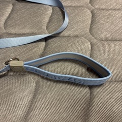 ☆受け渡し決まりました☆新品未使用 犬用リード 青色の画像