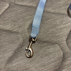 ☆受け渡し決まりました☆新品未使用 犬用リード 青色の画像