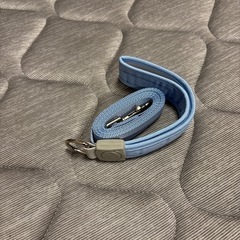 ☆受け渡し決まりました☆新品未使用 犬用リード 青色の画像