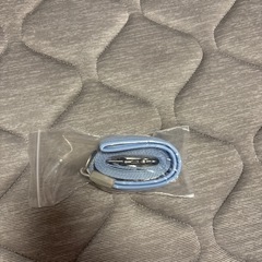 ☆受け渡し決まりました☆新品未使用 犬用リード 青色の画像