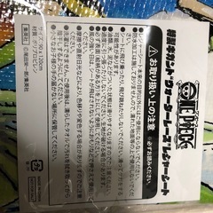 ONE PIECE 特製ギガント　ウォーターレース　レジャーシートの画像