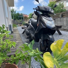 シグナスX二型台湾製の画像