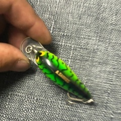 ザウルス　ヘドンの画像