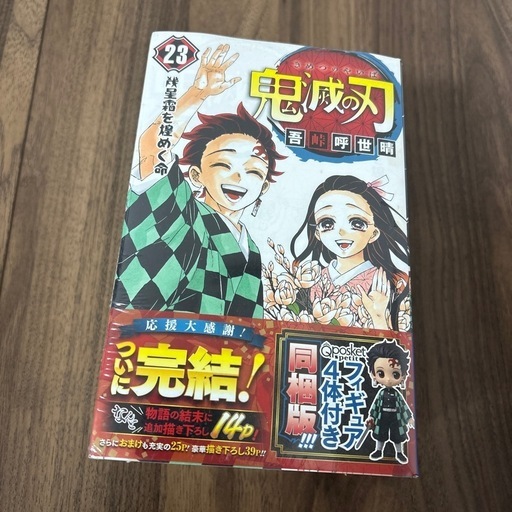 販売済み tiger243様。天然きのこムキタケシメジ