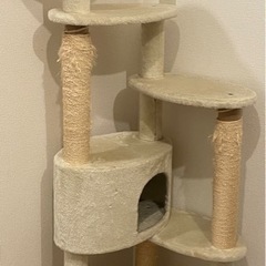 Mayタワー ミルキーエッグ キャットタワーの画像