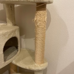 Mayタワー ミルキーエッグ キャットタワーの画像