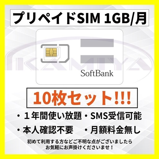 プリペイドSIMカード　データ通信 1 GB/月　SMS受信可！！  LINE利用可！！