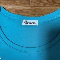chamois レディースＴシャツＤの画像