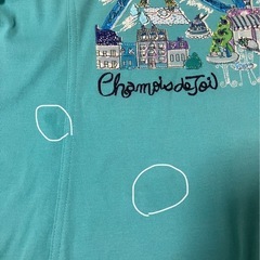 chamois レディースＴシャツＤの画像