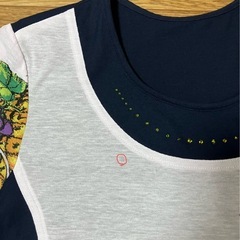 【取引終了メ】chamois レディースＴシャツＥの画像
