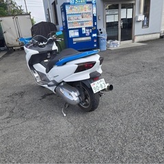 フォルツァ　即乗り可能の画像