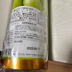 シャインマスカットボンボン　チョコレート
の画像