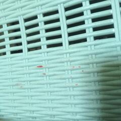 ペット用キャリー  両開きタイプの画像