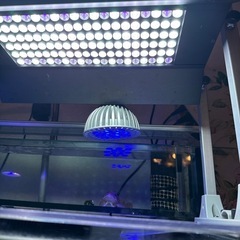 WEEK AQUA Z400Pro-Z フルスペクトル 水槽用LEDライトの画像