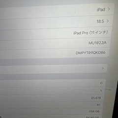 【動作良好・画面に小さな表示不良あり】iPad Pro 11インチ (2018) 256GB Wi-Fi + Cellular 純正キーボード付きの画像