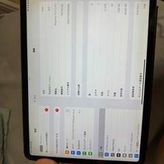 【動作良好・画面に小さな表示不良あり】iPad Pro 11インチ (2018) 256GB Wi-Fi + Cellular 純正キーボード付きの画像
