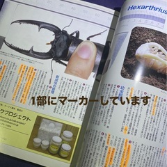 ●BE-KUWA 3号 アンタエウス大特集の画像
