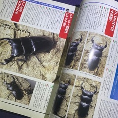 ●BE-KUWA 3号 アンタエウス大特集の画像