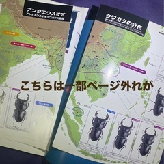 ●BE-KUWA 3号 アンタエウス大特集の画像