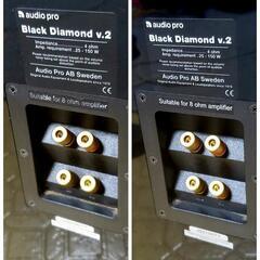 Audio Pro オーディオプロ Black Diamond v.2 トールボーイ スピーカーの画像
