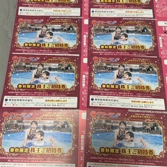 ①ラスト4枚 東京サマーランド 1DAYパス フリーパス プール遊園地の画像
