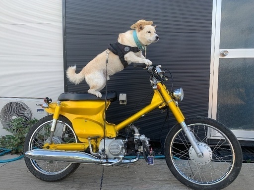 ホンダ　スーパーカブ　125cc 実働　水戸北ic付近