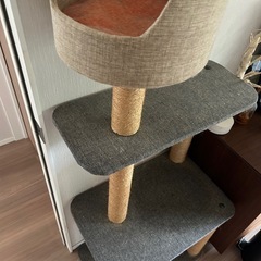 キャットタワーの画像