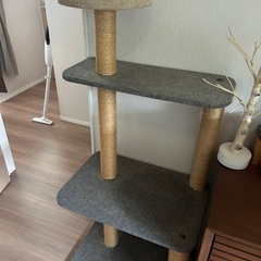 キャットタワーの画像