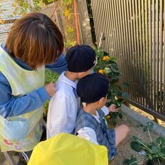 幼稚園教諭（パート）の画像