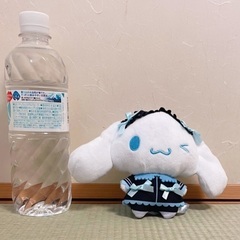 シナモロール こあくまてんしぬいぐるみ シナモン　小悪魔　天使の画像