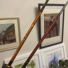 🪣🎣 スピニング ルアーロッド 2本セット  🪣🎣の画像