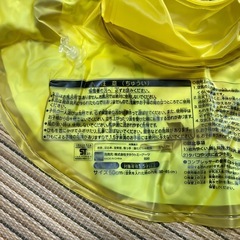 1歳半以上用浮き輪の画像