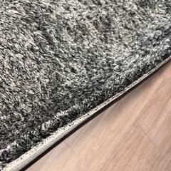 261×352 ラグ　スミノエ　ネオグラス　グレー　ブラックの画像