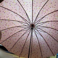 傘の画像