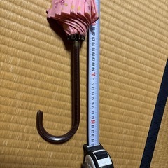 傘の画像