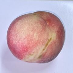 桃🍑【家庭用3kg〜】の画像