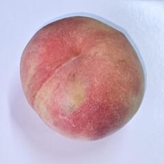 桃🍑【家庭用3kg〜】の画像