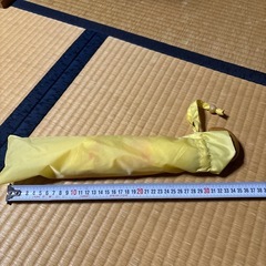 折りたたみ傘の画像