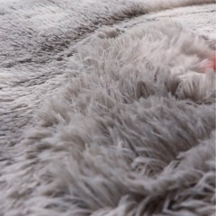 [美品]カーペット　ラグ　200cm✖︎280cmの画像