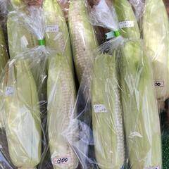 野菜の画像