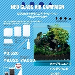 水槽　DOOA ネオグラスエア 15×15×30 ADAフェア 2019-2020 未使用新品の画像