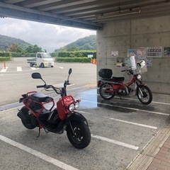 仮決定済　ホンダ　ズーマー　　原付　スクーターの画像