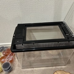 【無料】カブトムシ・クワガタ飼育用品セット の画像