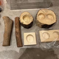 【無料】カブトムシ・クワガタ飼育用品セット の画像