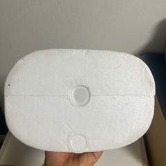 スワローテイル　マネキンヘッドの画像