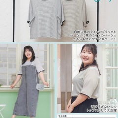 aime que ボーダーシアーTシャツ 3L の画像