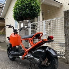 乗車して帰れます　ホンダ製品　ズーマー50  今後も大切に所有していただける方へお譲りさせてくださいの画像