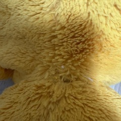 東京ディズニーランド　シンバぬいぐるみの画像