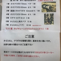 あぐりん村　昆虫くじやってます。 - 長久手市